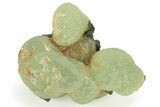 Botryoidal Prehnite and Epidote - Mali #219514-1